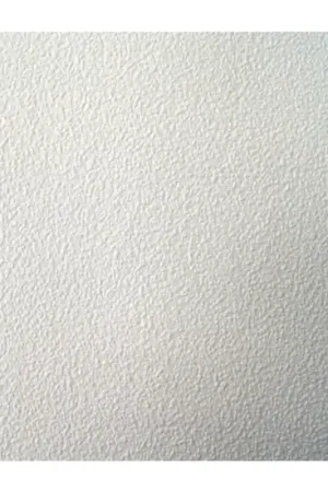 Korting Herdefinieer je Woonruimte met Dutch Wallcoverings Royal Dutch Schuimvinyl 6489.0